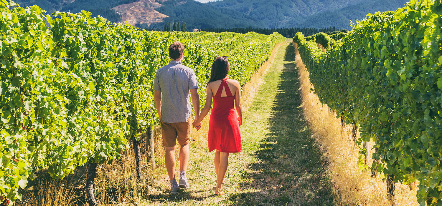 Vineyard Walk