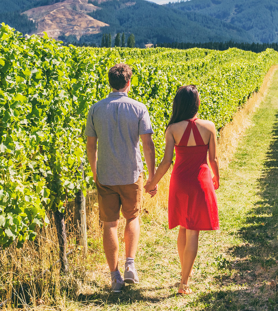 Vineyard Walk